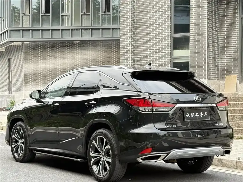 Lexus RX — фото 8