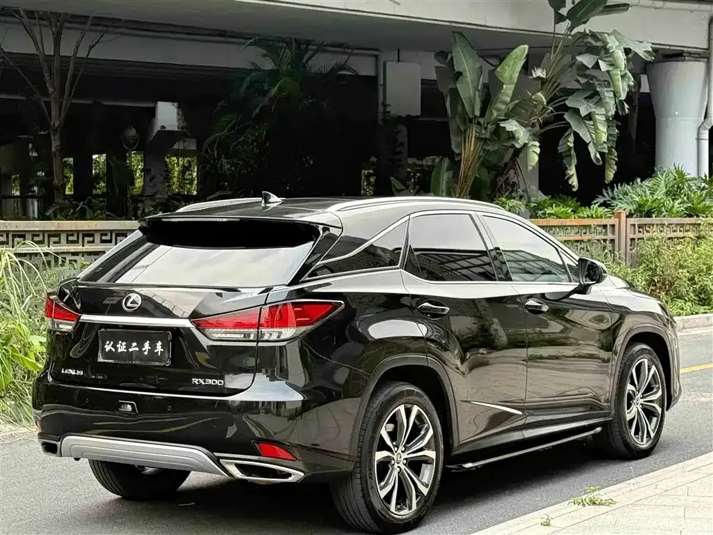 Lexus RX — фото 5