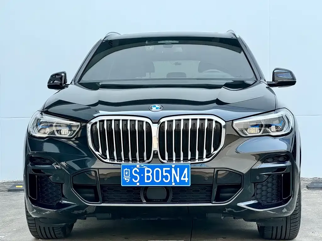 BMW X5 — фото 9
