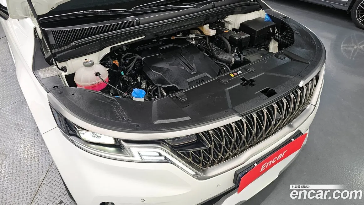 Kia Carnival — фото 10