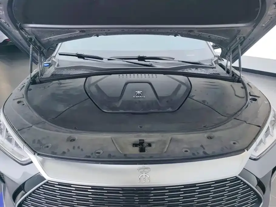 BYD PLUS New Energy — фото 10