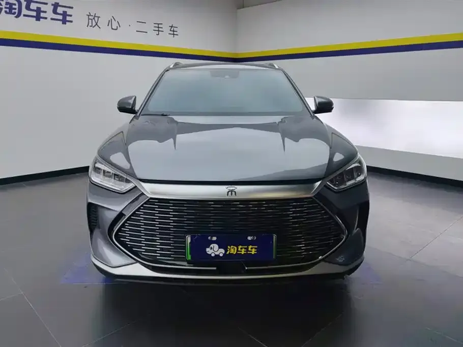 BYD PLUS New Energy — фото 9