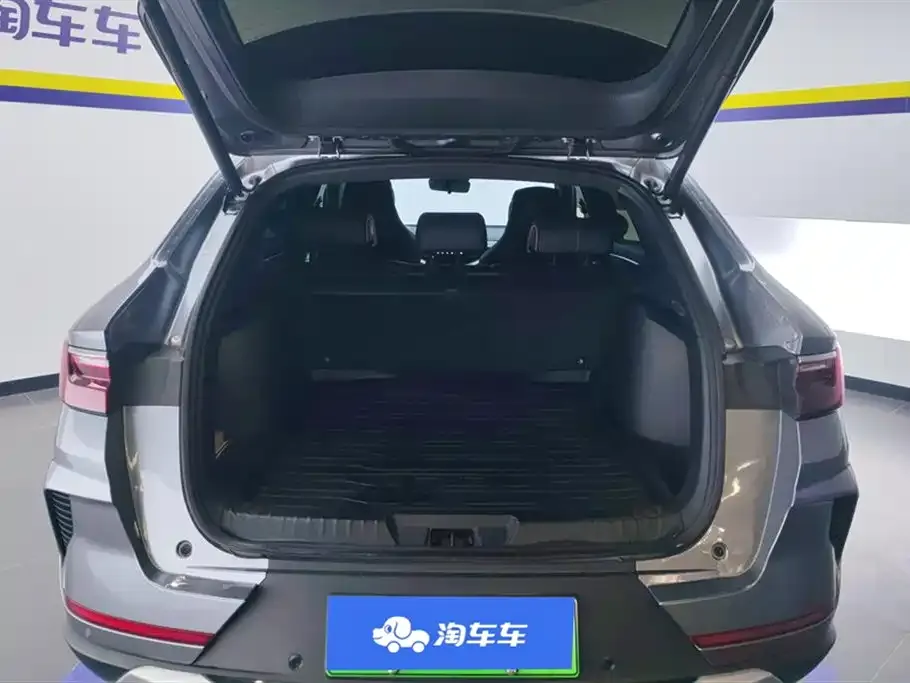 BYD PLUS New Energy — фото 8
