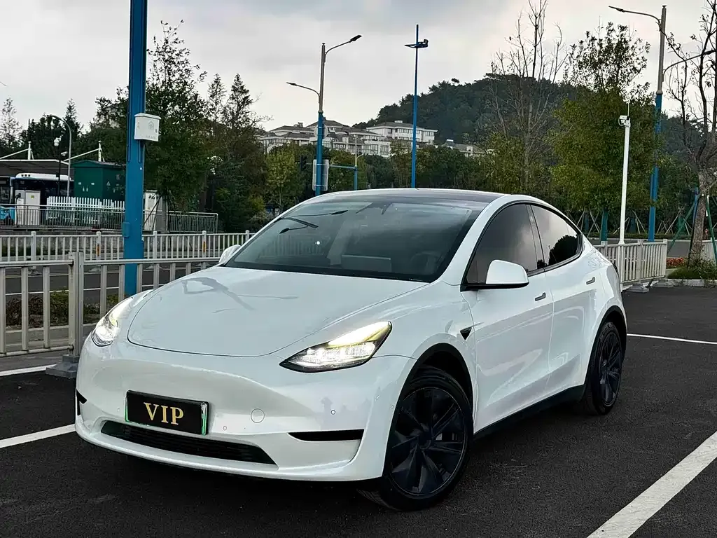 Tesla Model Y — фото 1