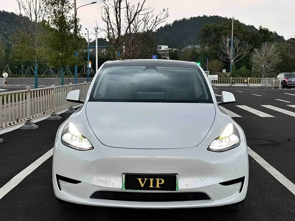 Tesla Model Y — фото 9