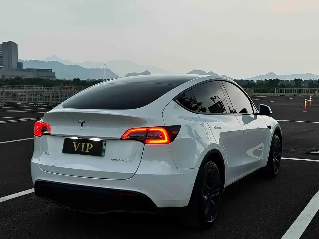 Tesla Model Y — фото 8