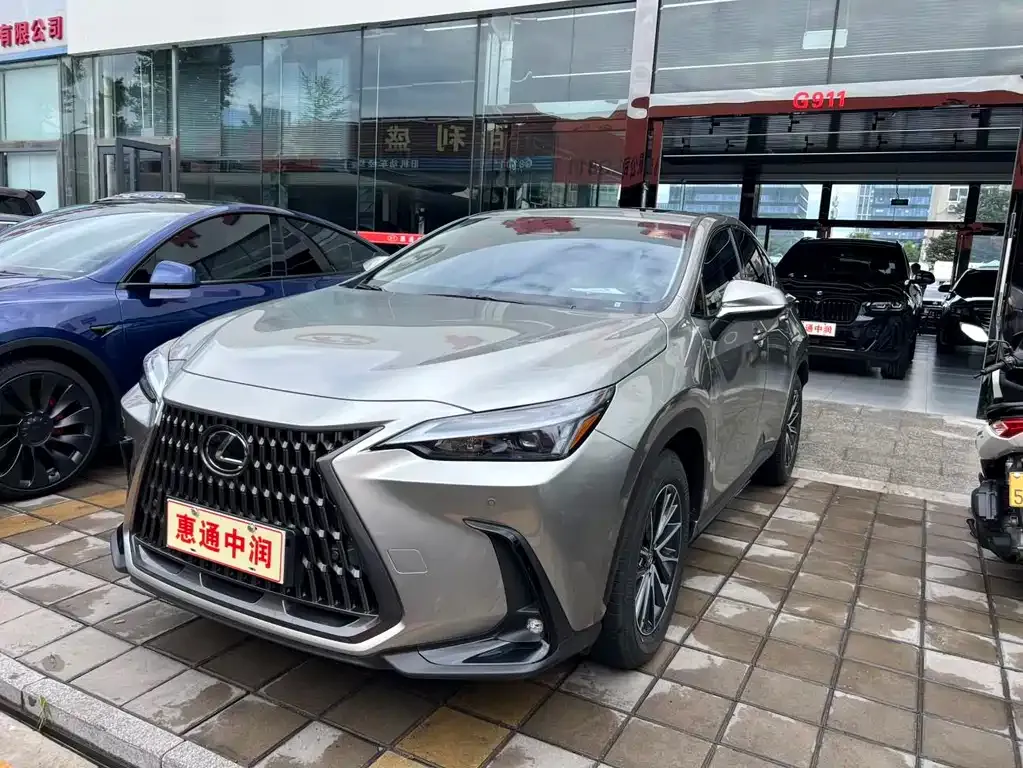 Lexus NX New Energy — фото 1