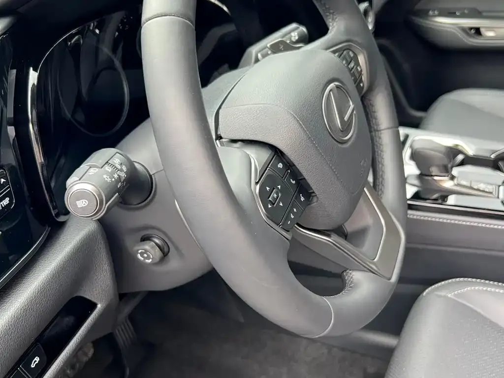 Lexus NX New Energy — фото 7