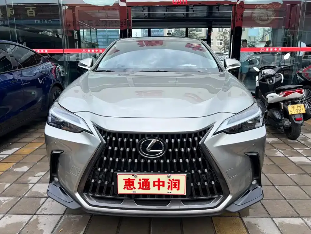 Lexus NX New Energy — фото 4