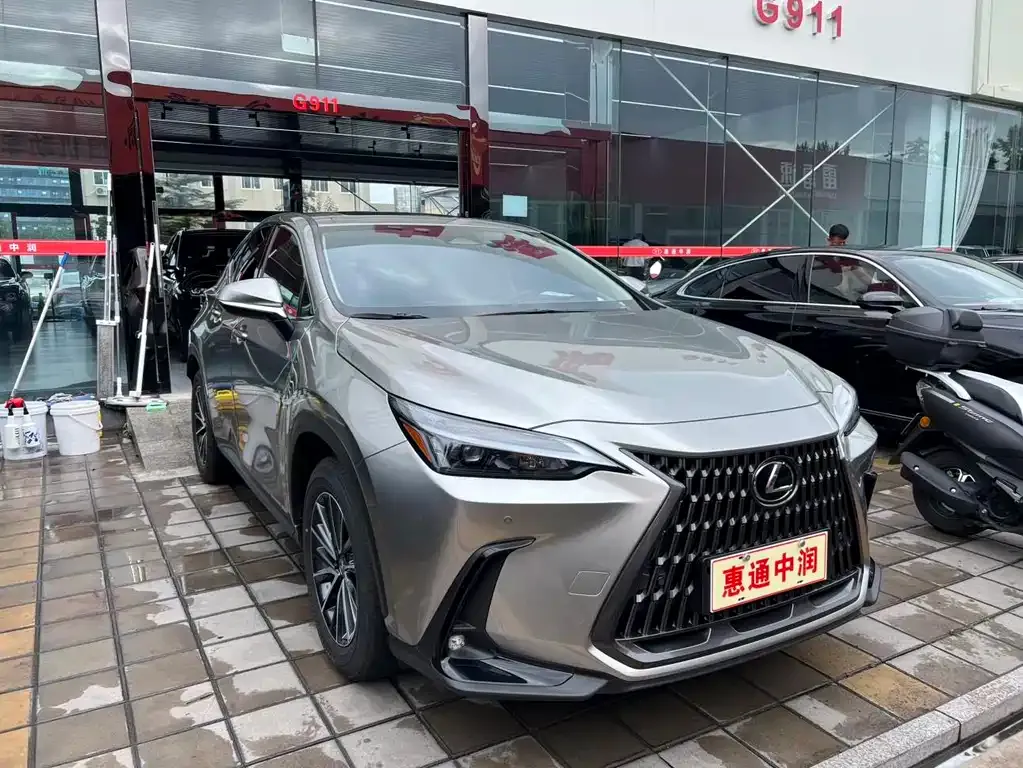 Lexus NX New Energy — фото 2