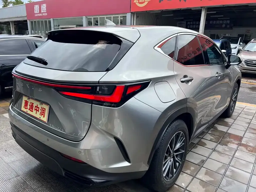 Lexus NX New Energy — фото 6