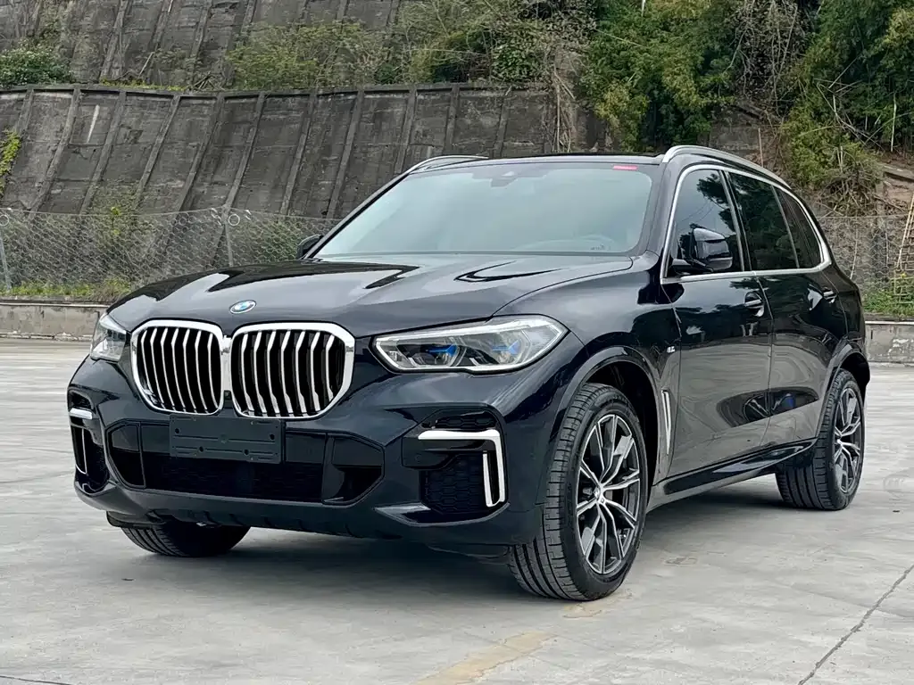 BMW X5 — фото 1
