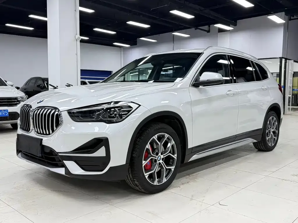 BMW X1 — фото 1