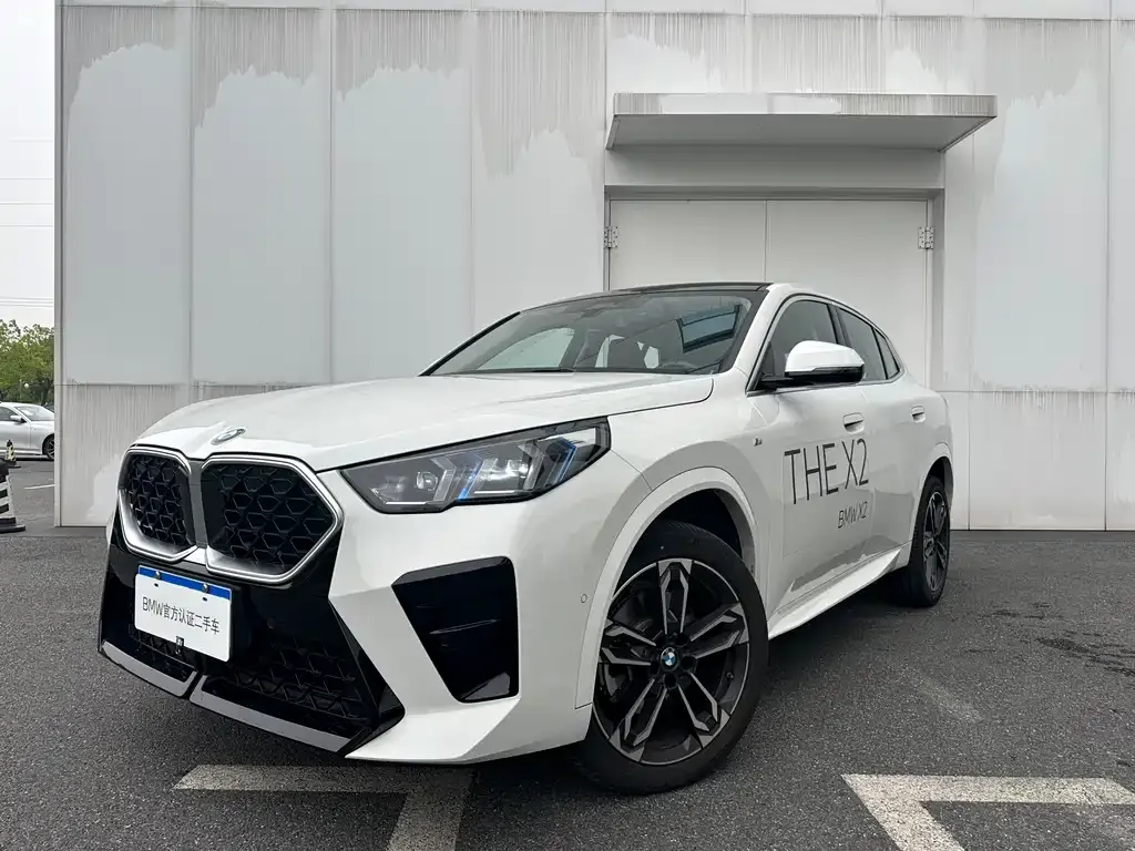 BMW X2 (Import) — фото 1