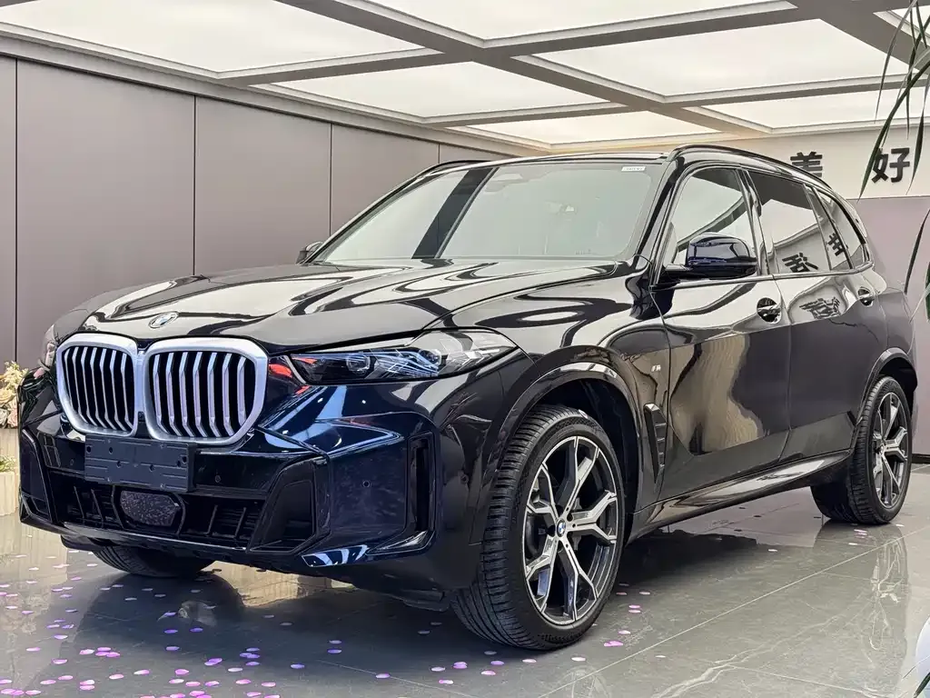 BMW X5 — фото 1