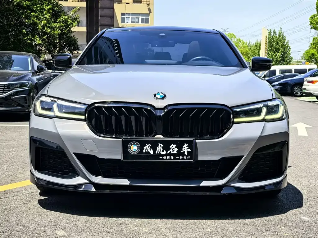 BMW 5 Series (Import) — фото 6