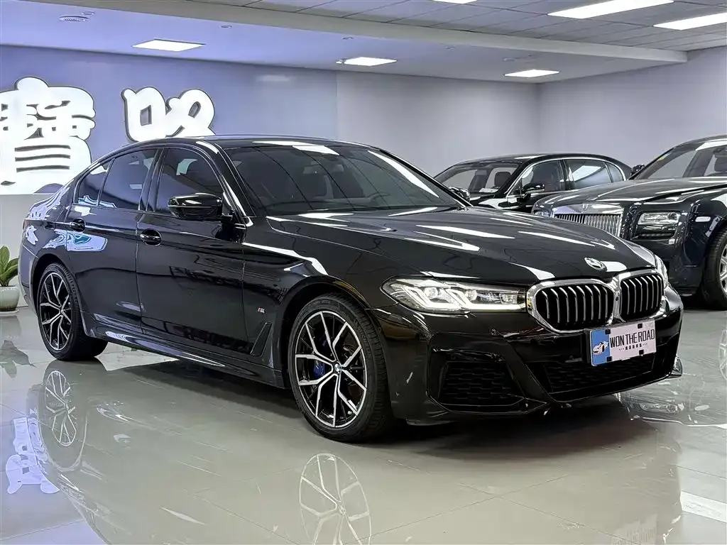 BMW 5 Series (Import) — фото 10