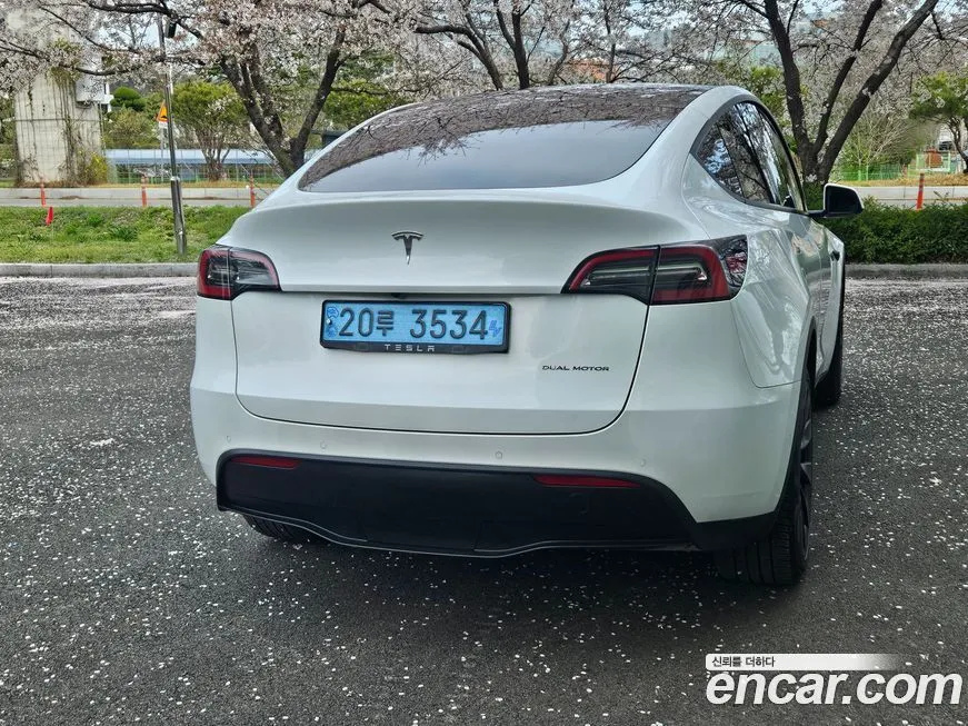Tesla Model Y — фото 9
