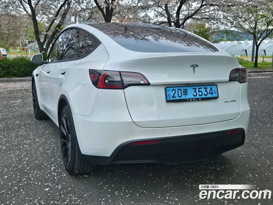 Tesla Model Y — фото 6