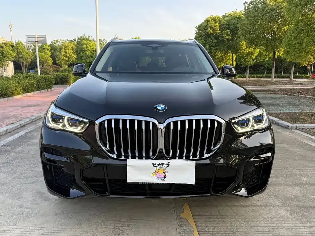 BMW X5 (Import) — фото 6