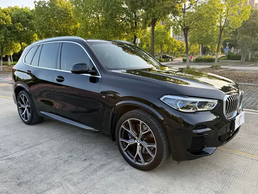 BMW X5 (Import) — фото 10