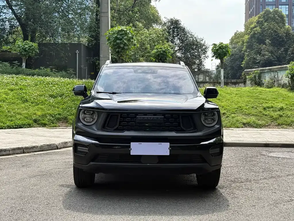 Haval Big Dog PLUS — фото 10