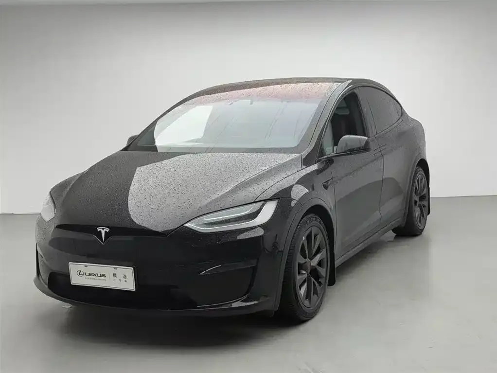 Tesla Model X — фото 1