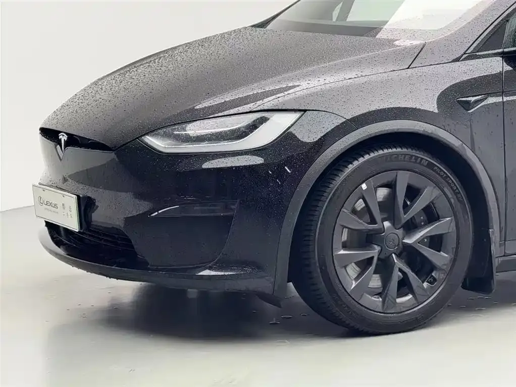 Tesla Model X — фото 9