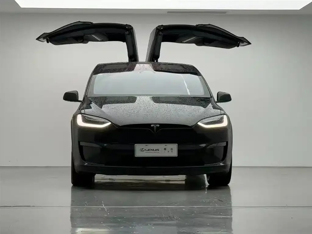 Tesla Model X — фото 8