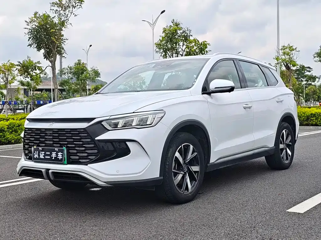 BYD Pro New Energy — фото 1