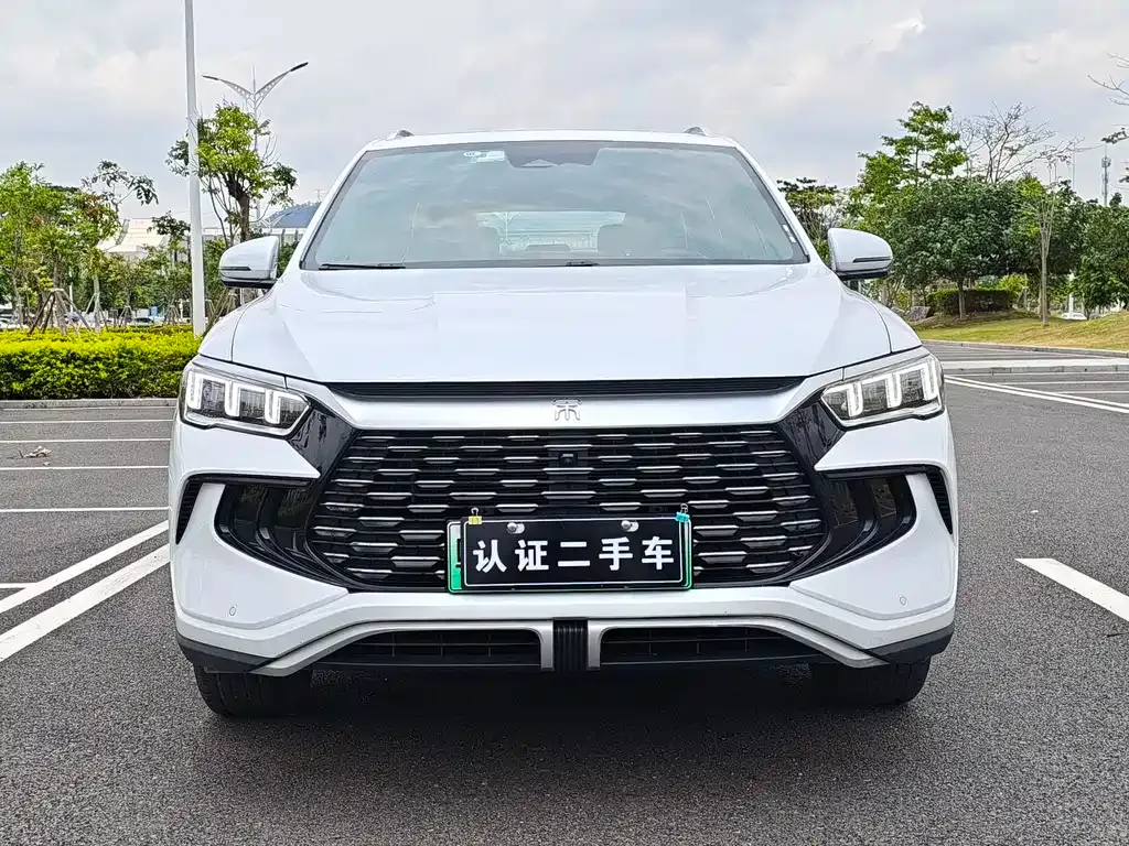 BYD Pro New Energy — фото 9