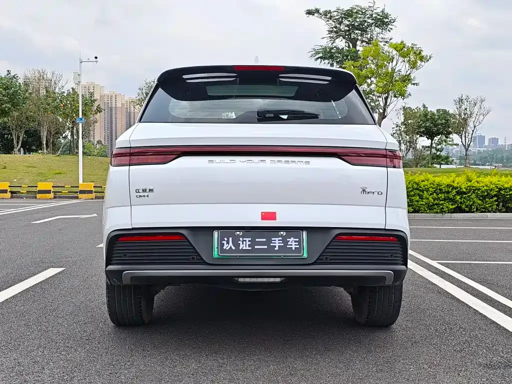 BYD Pro New Energy — фото 4