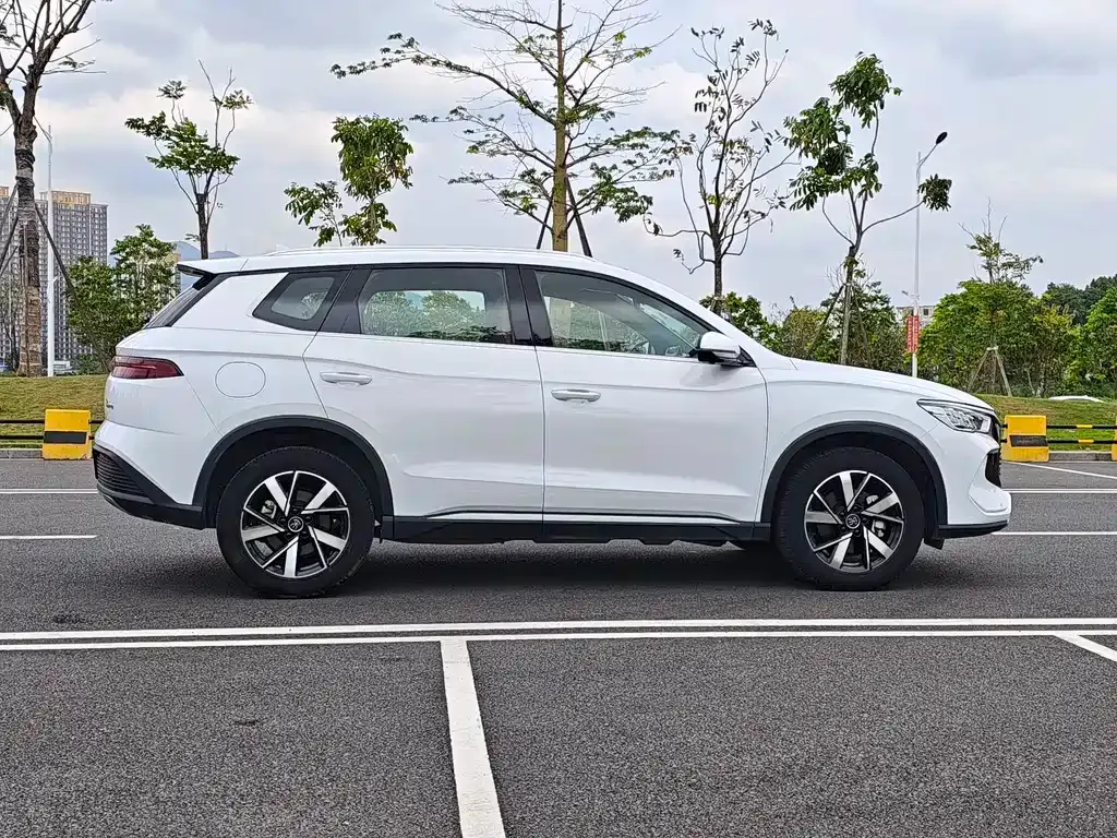 BYD Pro New Energy — фото 10