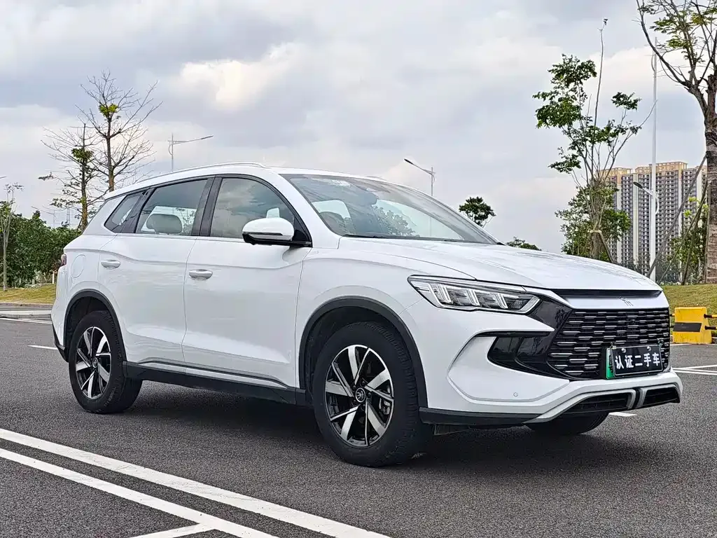 BYD Pro New Energy — фото 5