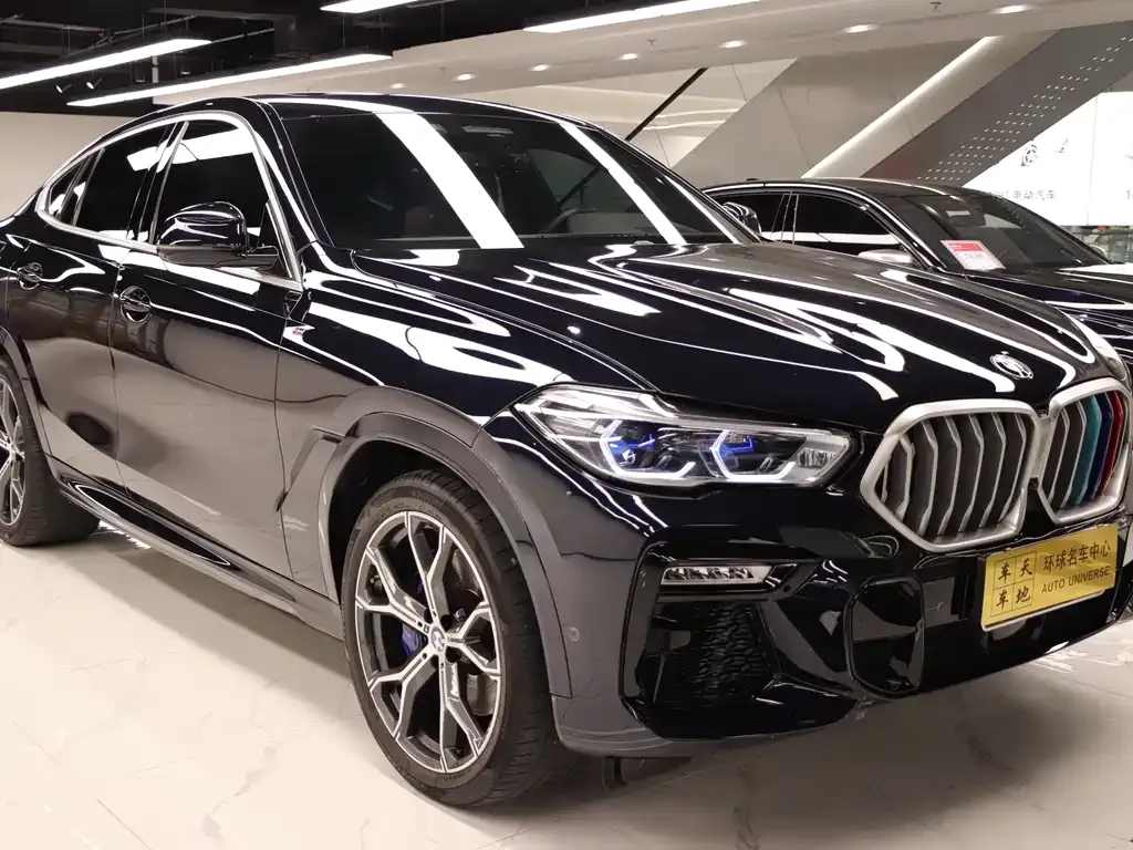 BMW X6 — фото 8