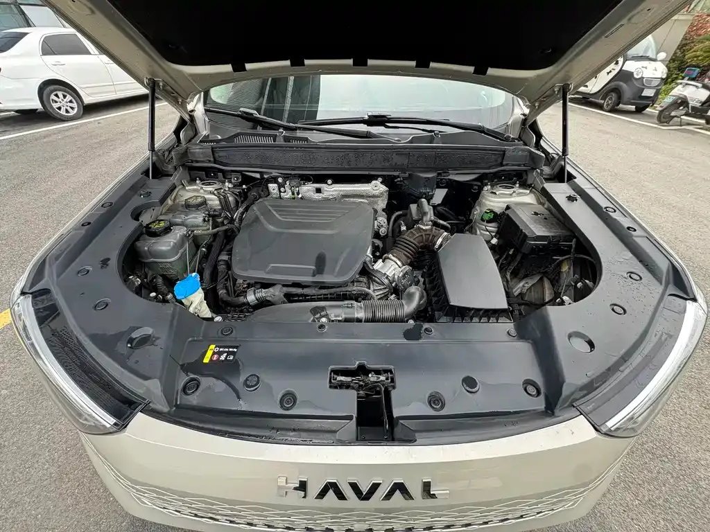 Haval Xiaolong MAX — фото 10