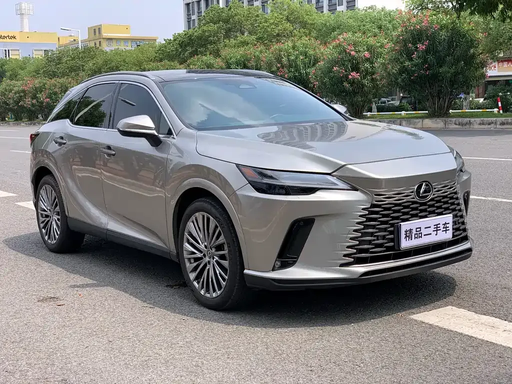 Lexus RX — фото 9