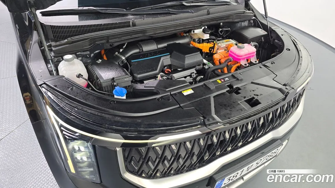 Kia Carnival — фото 10