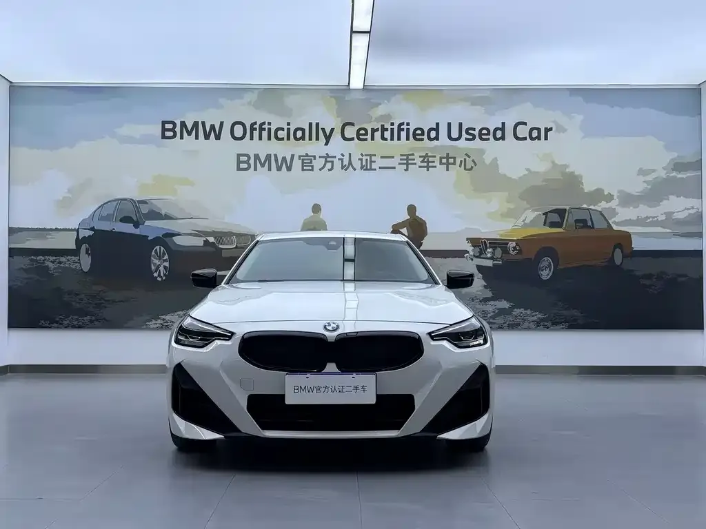 BMW 2 Series (Import) — фото 10