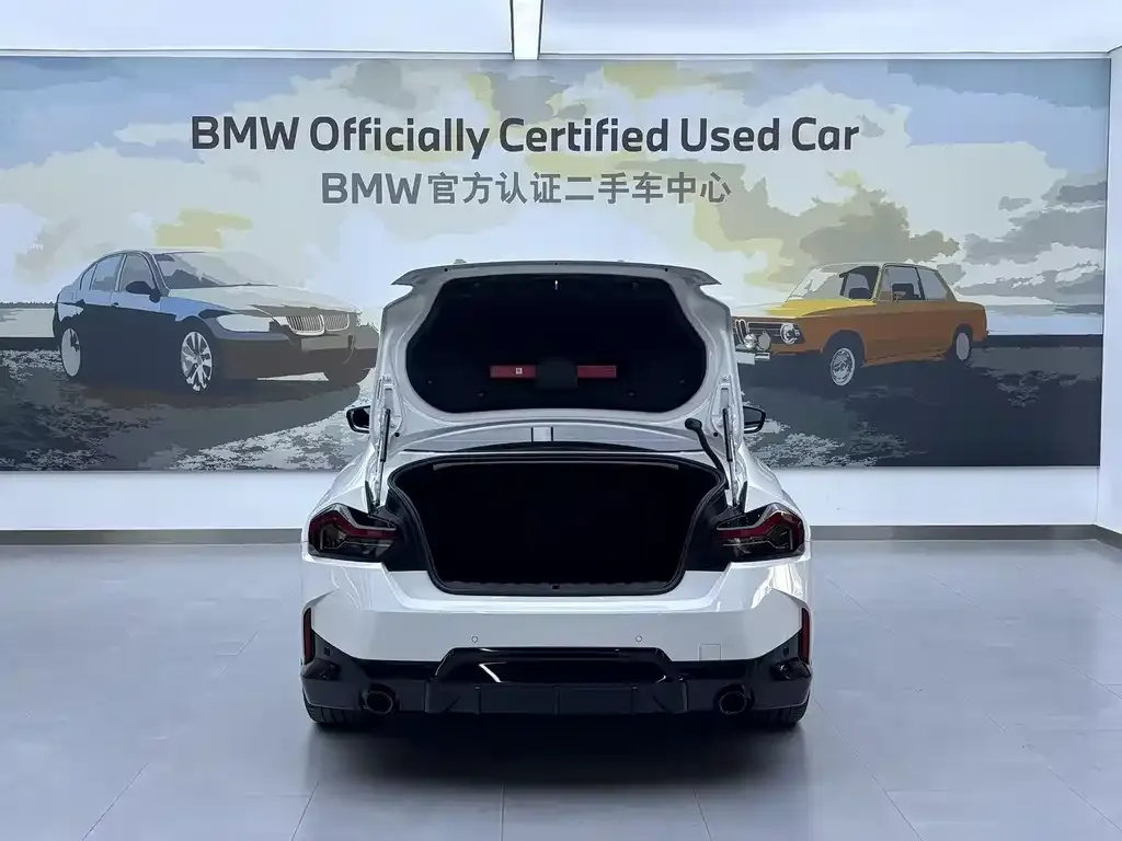 BMW 2 Series (Import) — фото 7