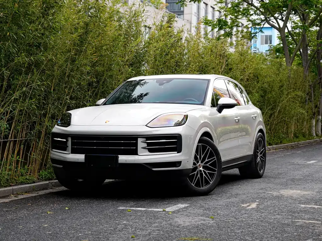 Porsche Cayenne — фото 1