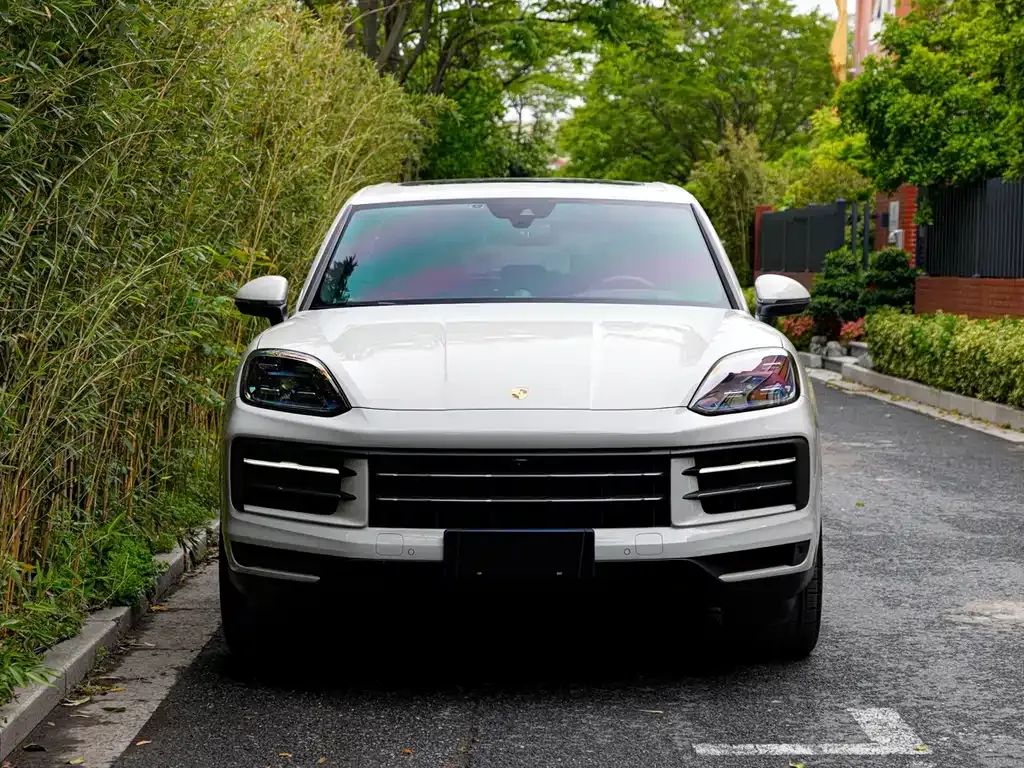Porsche Cayenne — фото 10