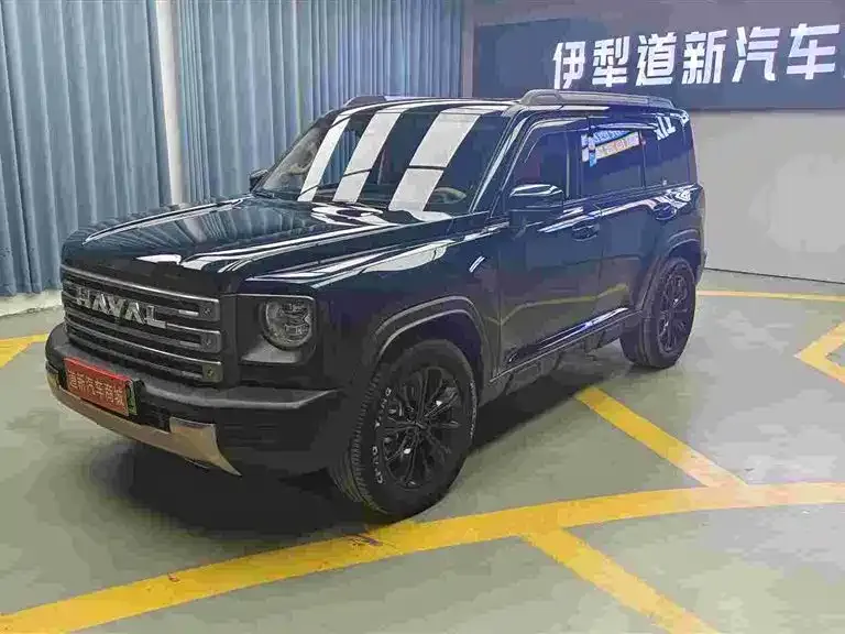 Haval Menglong New Energy — фото 1