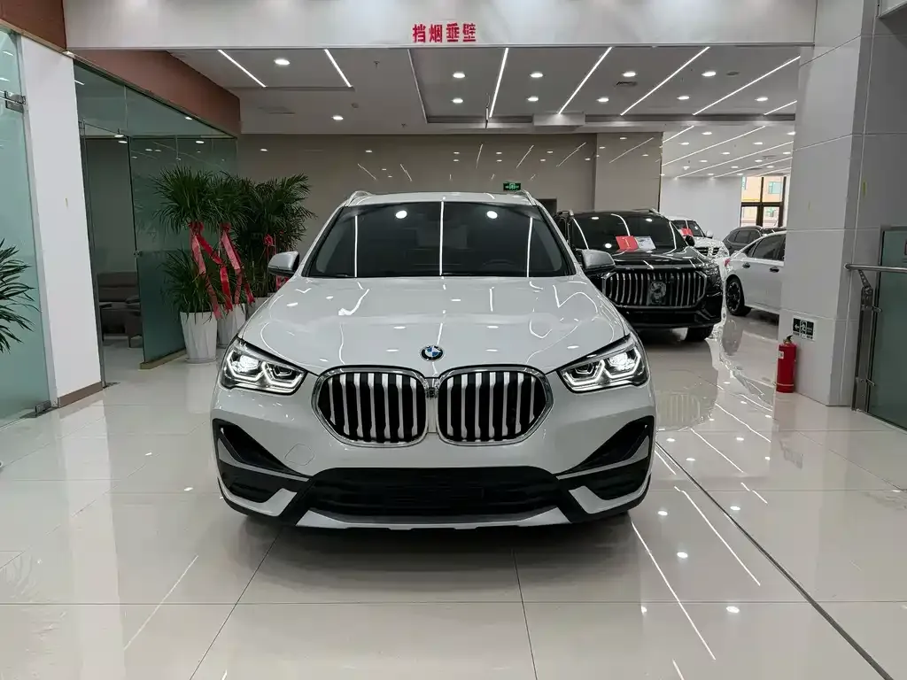 BMW X1 — фото 2