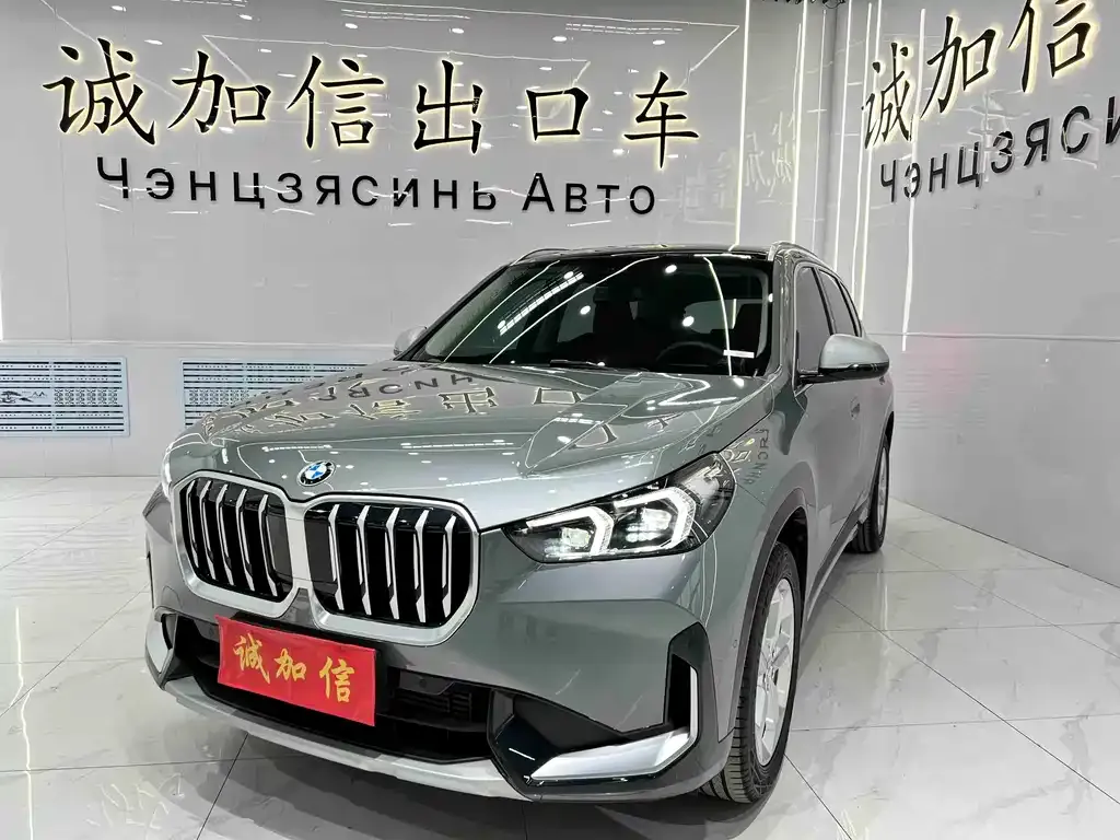 BMW X1 — фото 1