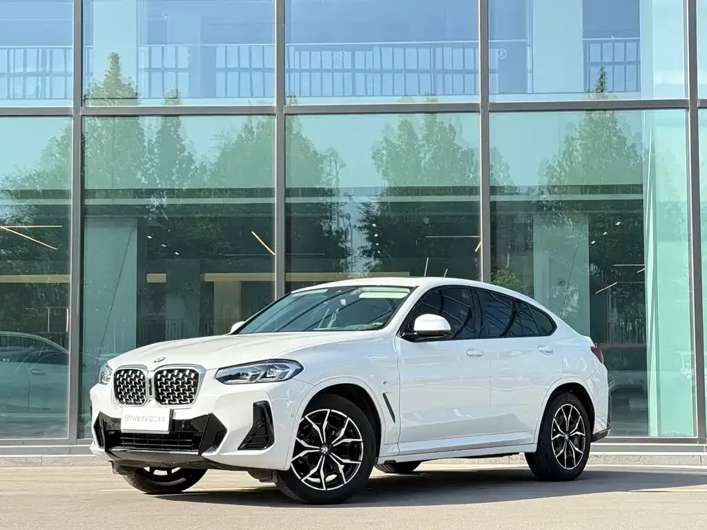 BMW X4 — фото 1