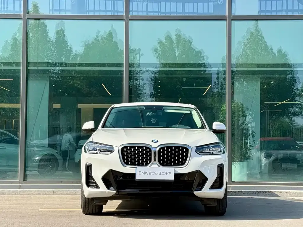 BMW X4 — фото 9