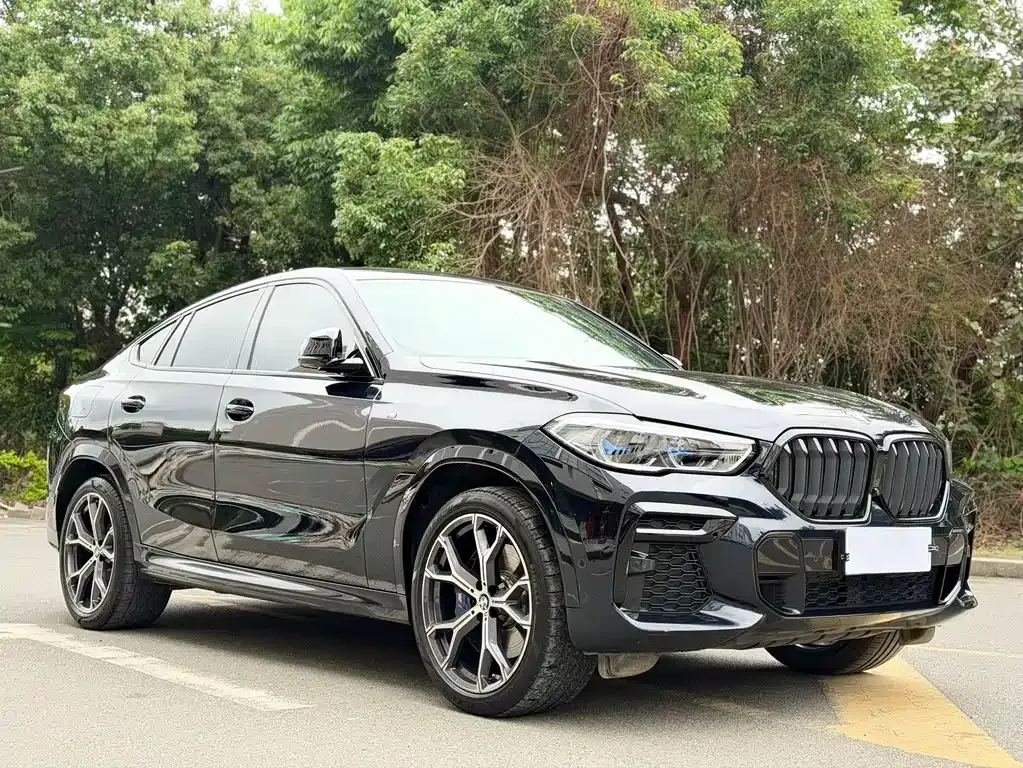 BMW X6 — фото 7