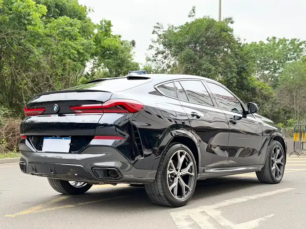 BMW X6 — фото 6