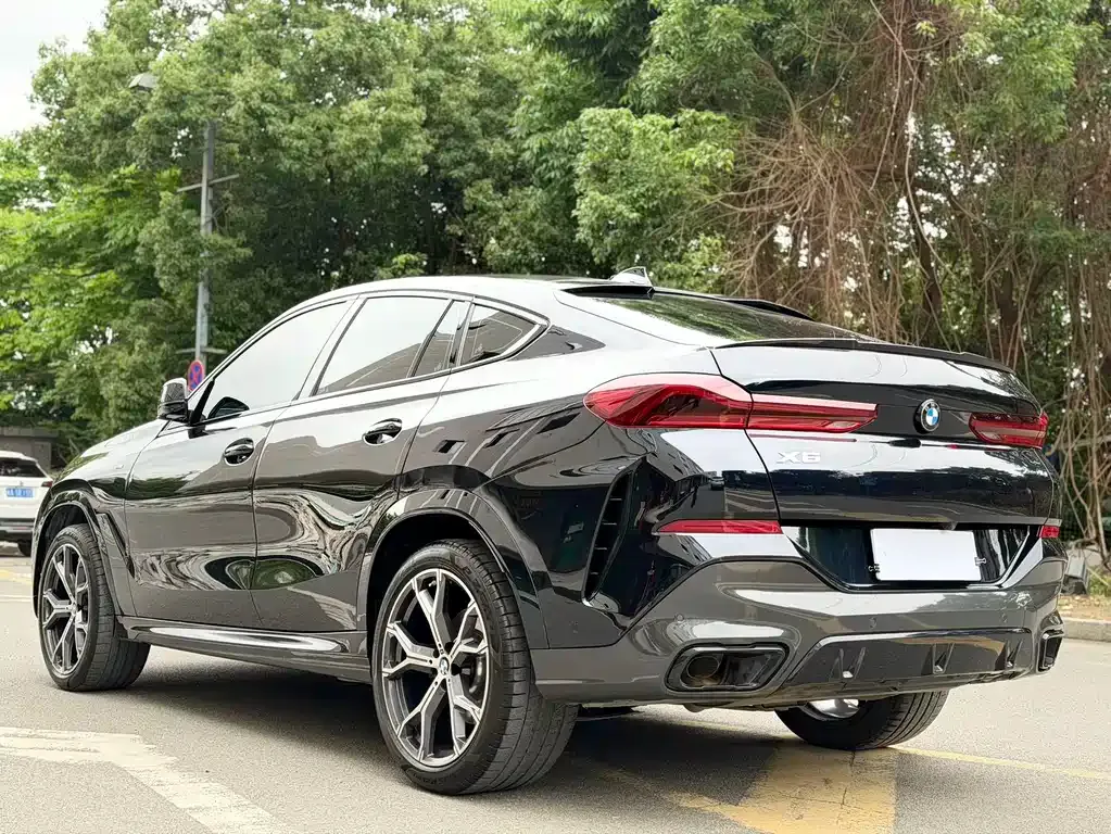 BMW X6 — фото 10